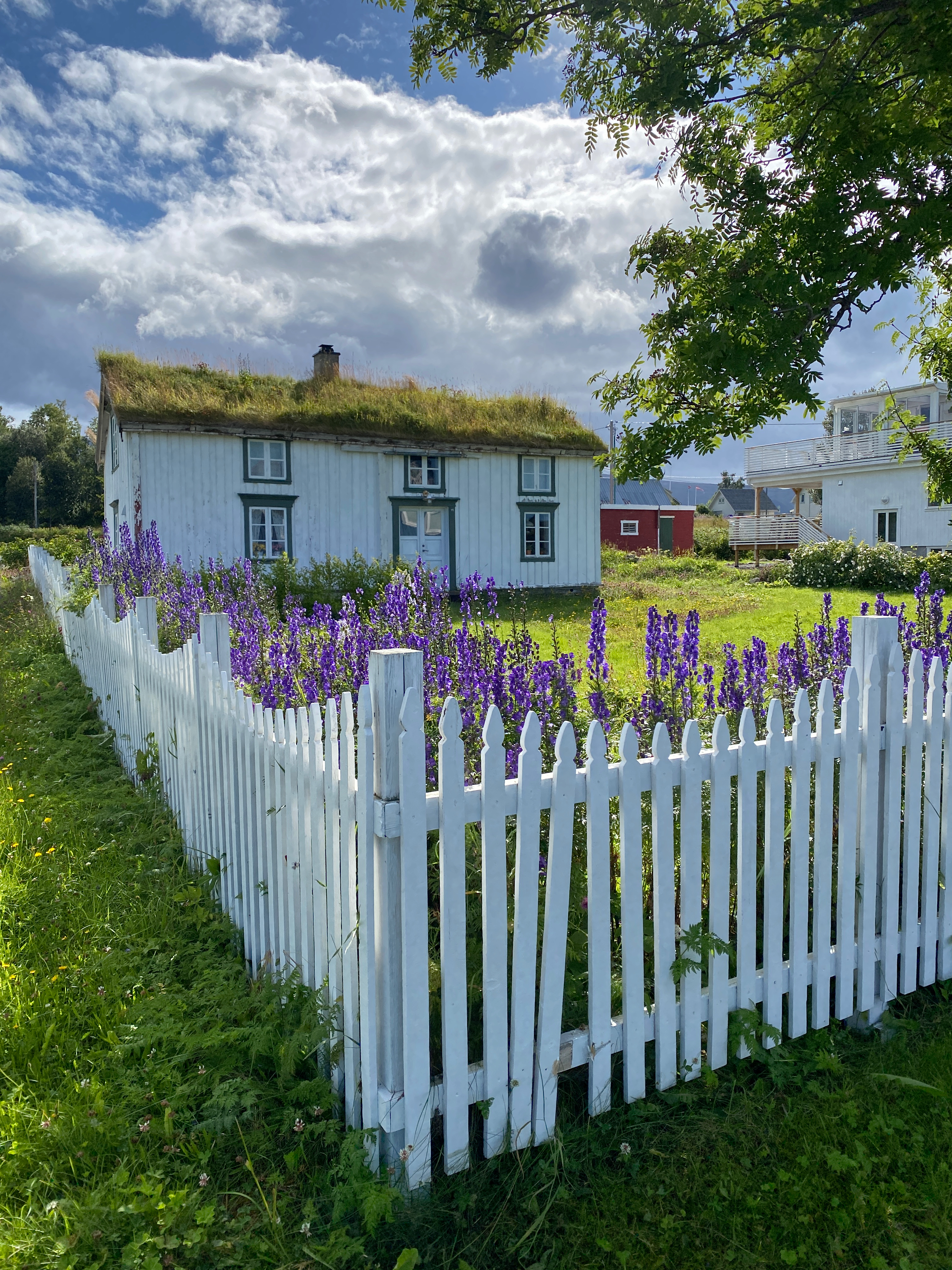 Historic fishing houses on Bjarkøy
