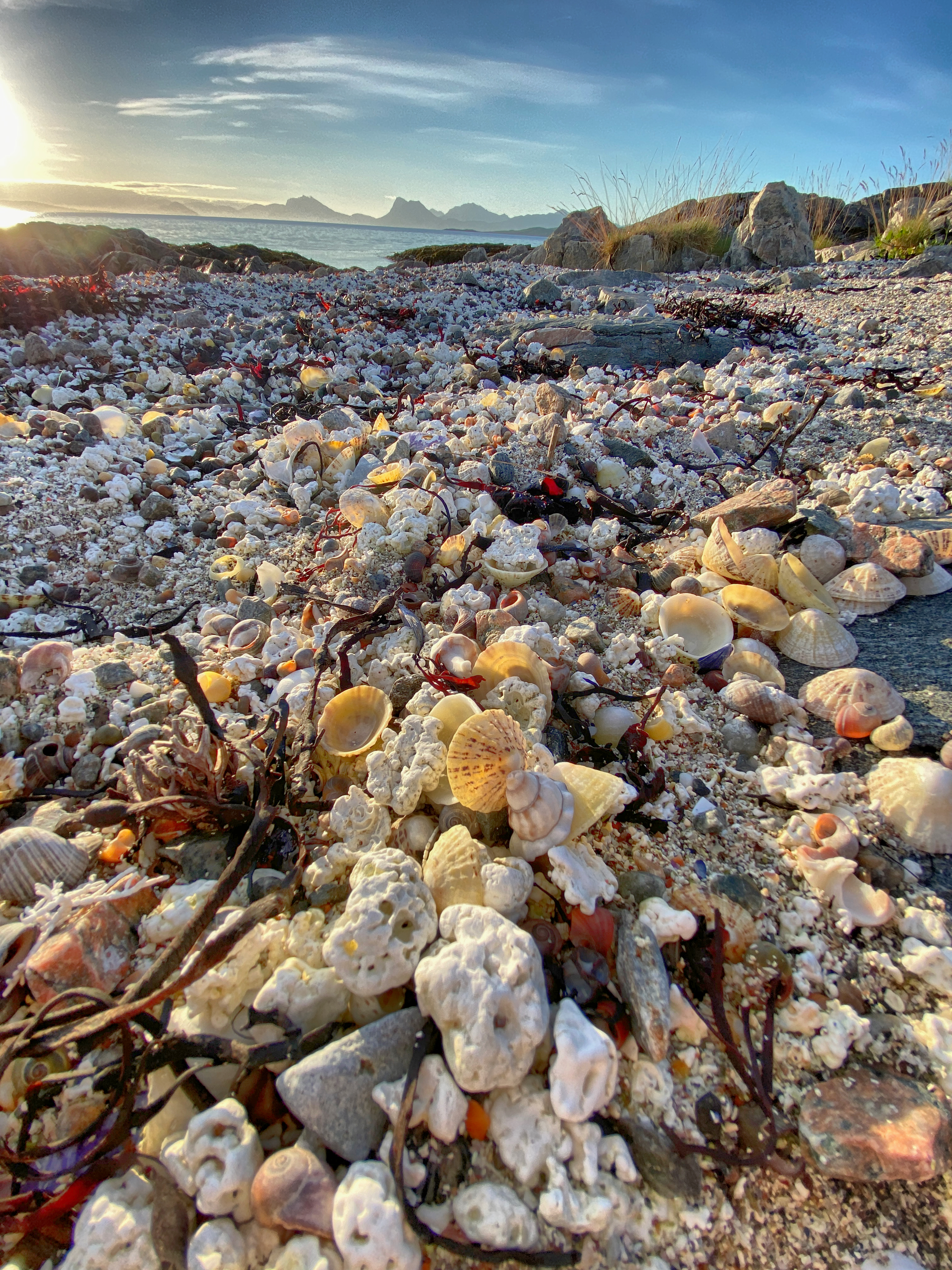 Shell beach at Nergårdshamn