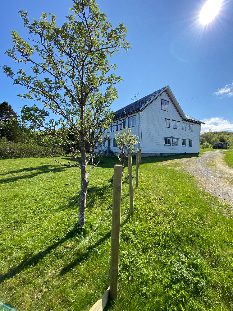 Summer view on Bjarkøy